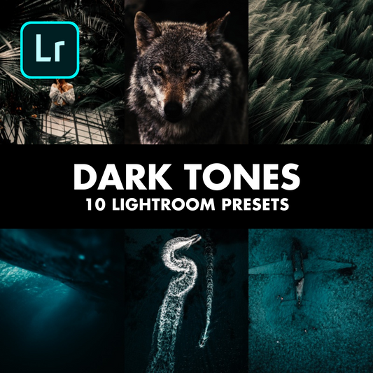 10x PLR Lightroom Preset Pack -  Dark Tones