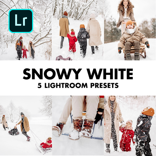 5x PLR Lightroom Preset Pack -  Snowy White